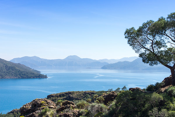 Bördübet, Marmaris Bördübet, Marmaris