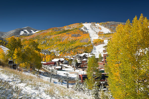 Aspen Aspen