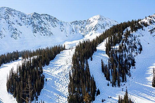 Aspen Aspen