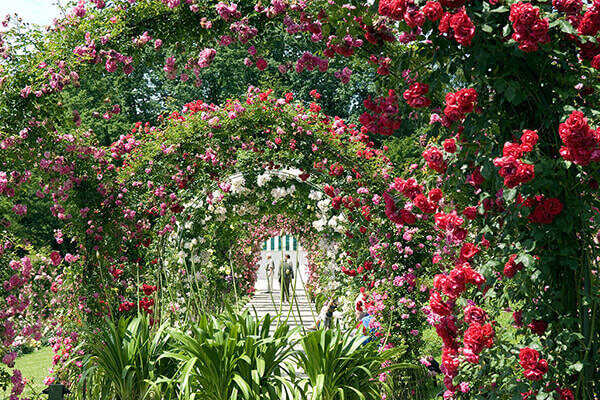 Rose Garden Beutig, Almanya Su damlasında gizli sağlık